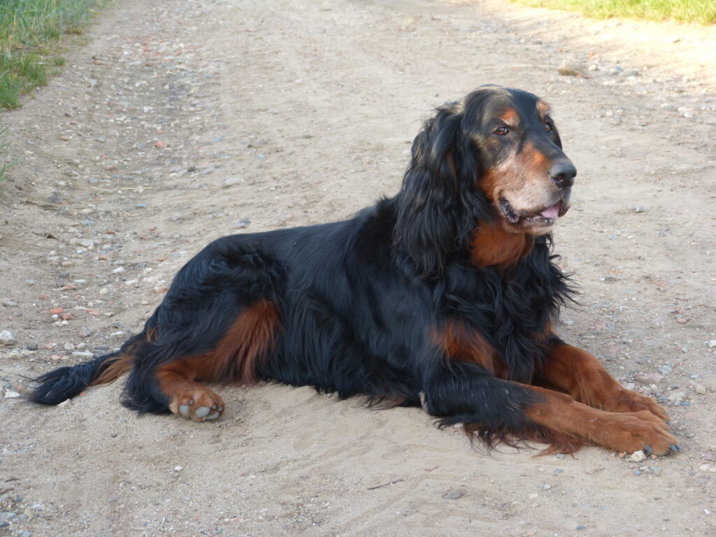 Odchod Barči za duhový most
