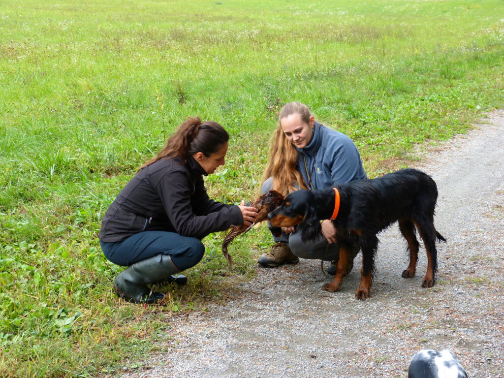 Dorka a začátky výcviku