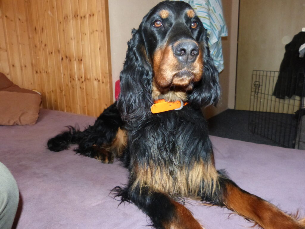 Intenzivní výcvikový kurz, trénink a neoficiální Zkoušky Vloh