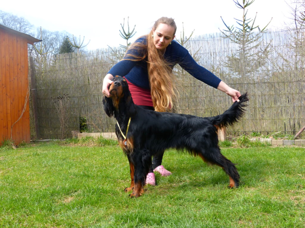 NVP Ostrava 7.4.2018