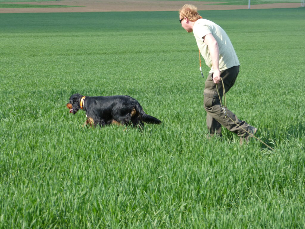Zkoušky vloh Velké Opatovice 19.5.2018