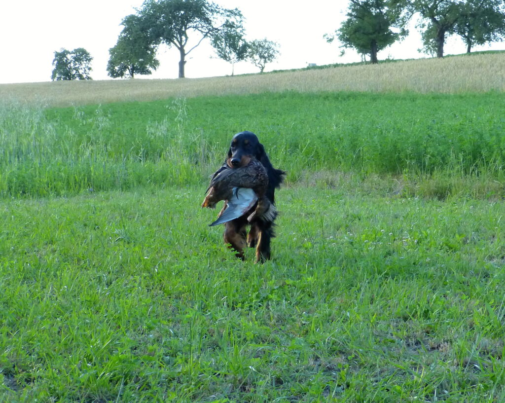 cvičeníčko cvičení