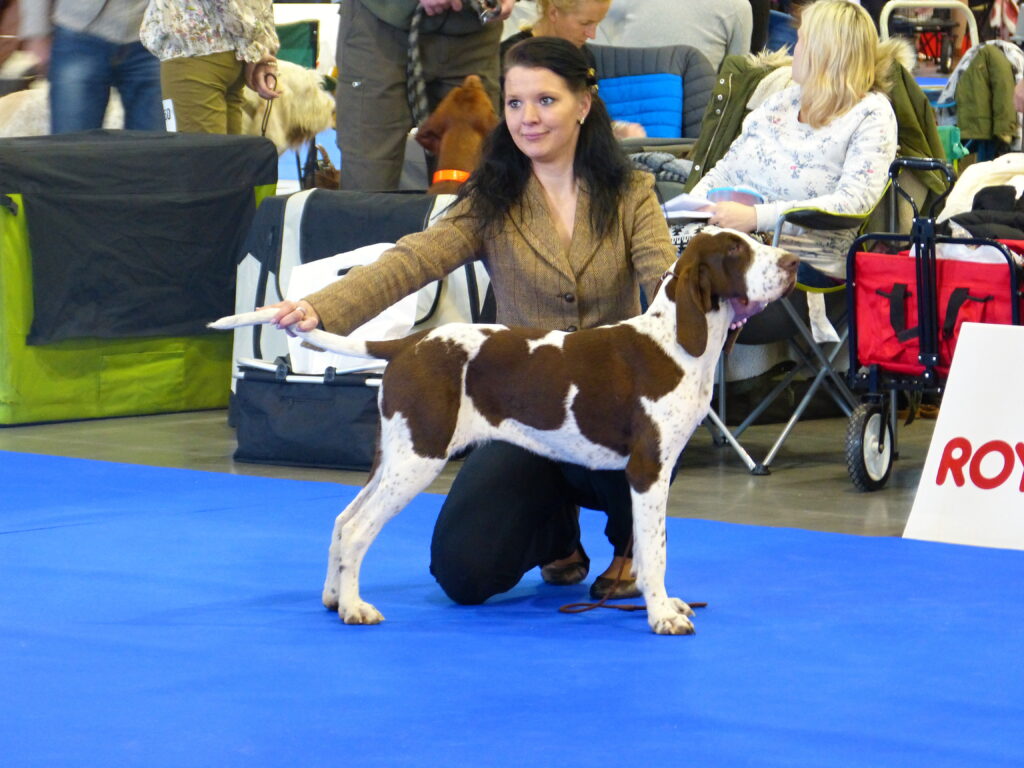 DUOCACIB Brno 2.-3.2.2019