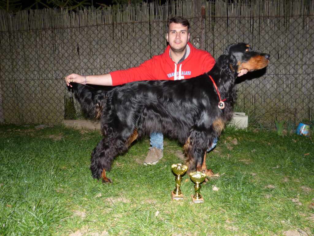 NVP Ostrava 6.4.2019