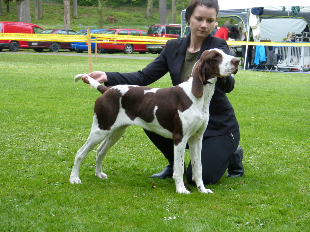 Klubová výstava KBO Konopiště 1.5.2019
