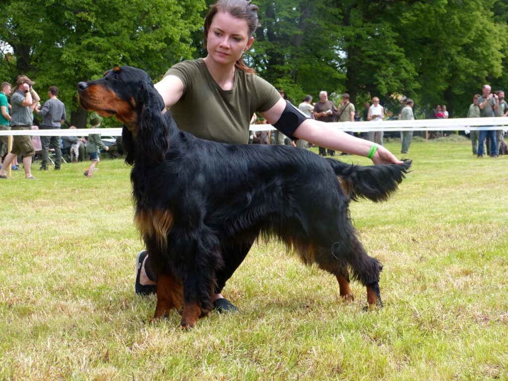 Klubová výstava Náměšt na Hané, 1.6.2019