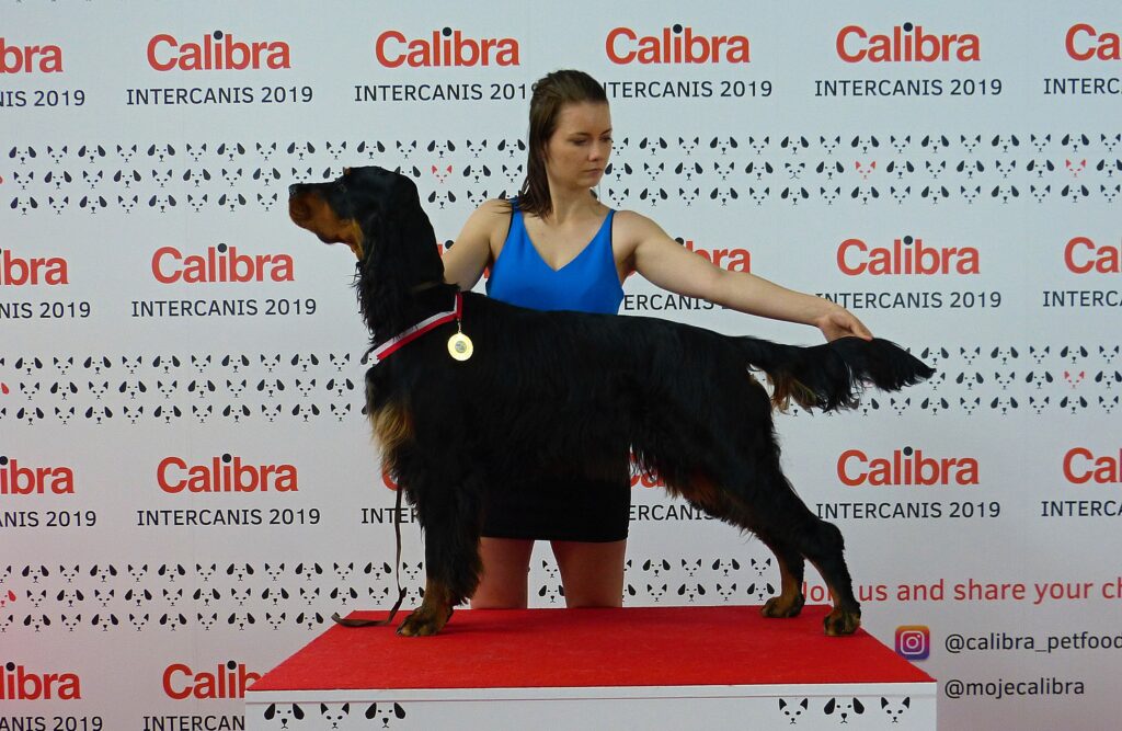 Intercanis Brno 22.6.2019