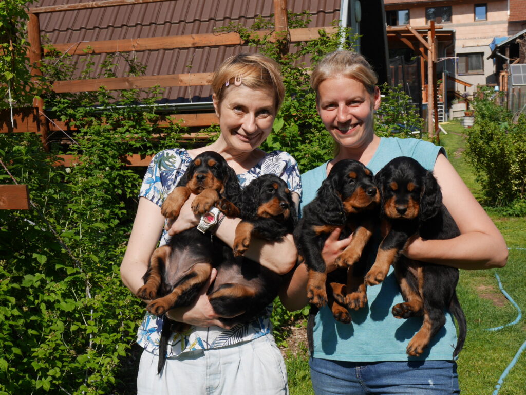 Štěňátka 6 týdnů stará