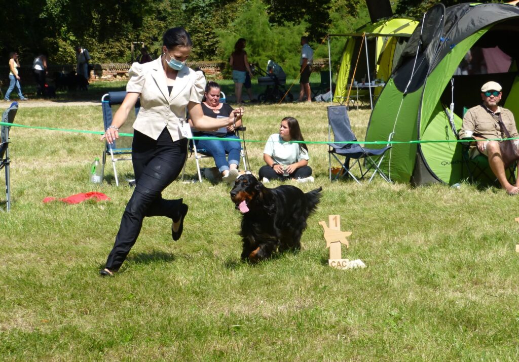 Klubová výstava MSKAO – 16.8.2020