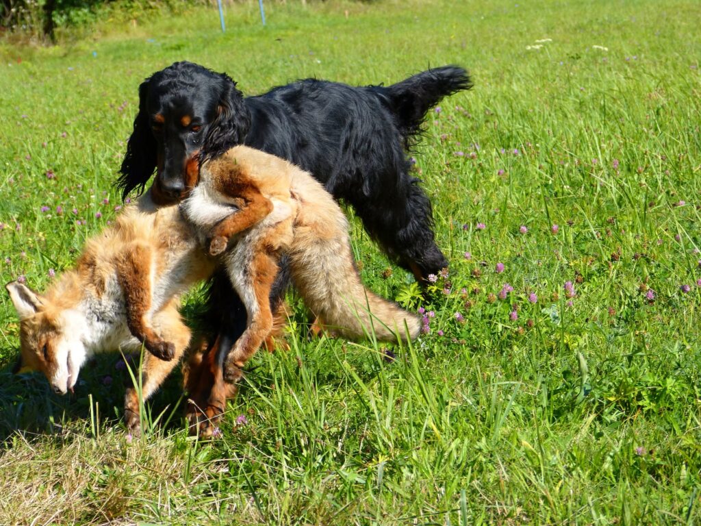 Příprava na zkoušky