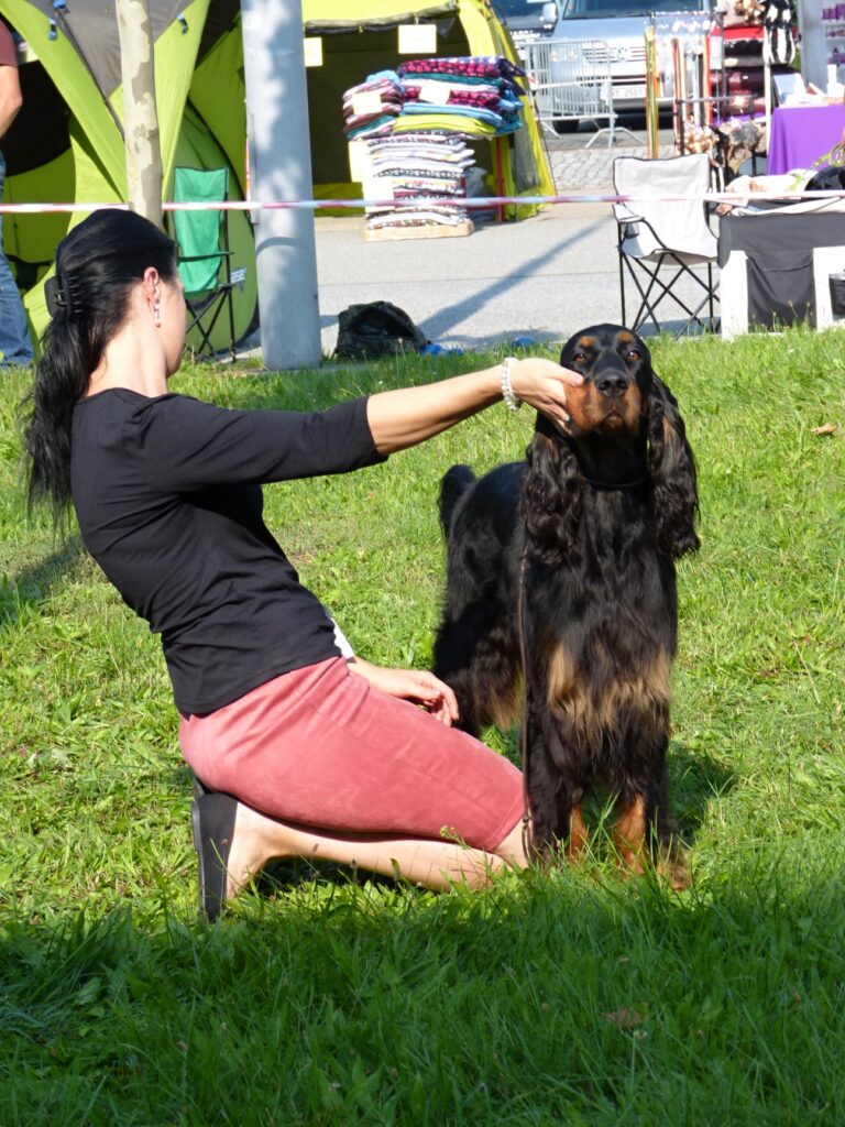 Národní výstava Ostrava, 12.9.2020 Brno
