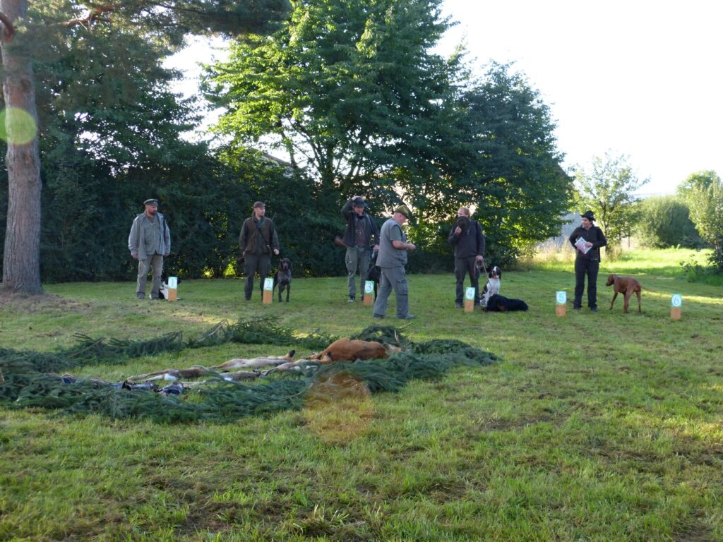Všestranné zkoušky ohařů, 19.-20.9.2020 OMS Svitavy