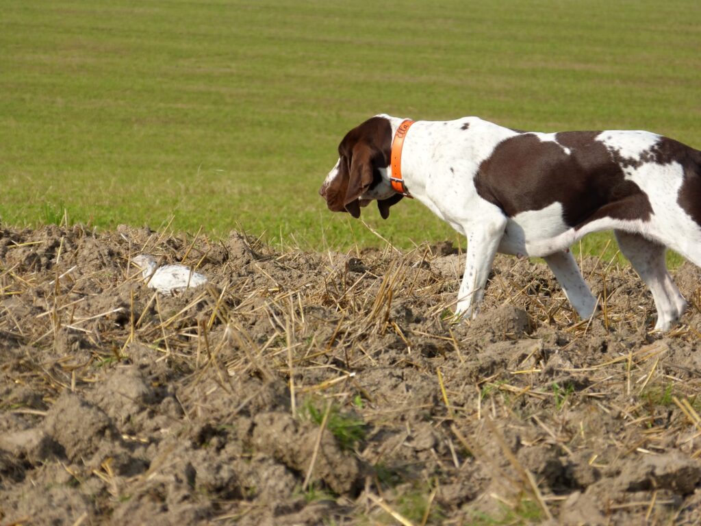 Vystavujeme…postupujeme… přiznáváme