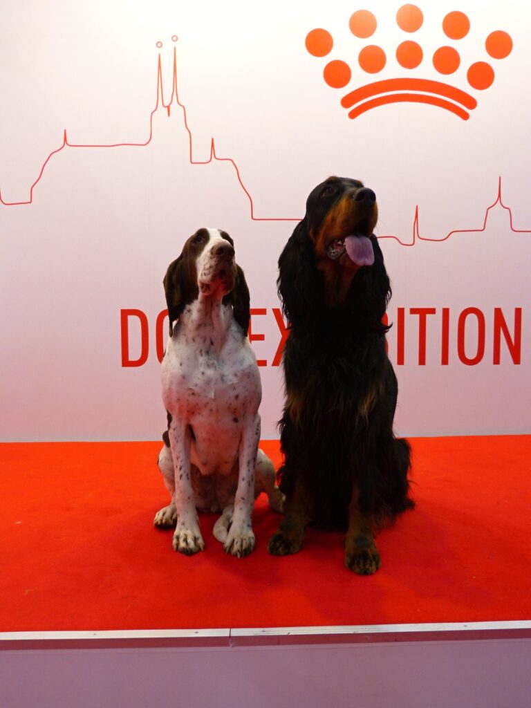 DUOCACIB Brno, 1.-2.2.2020