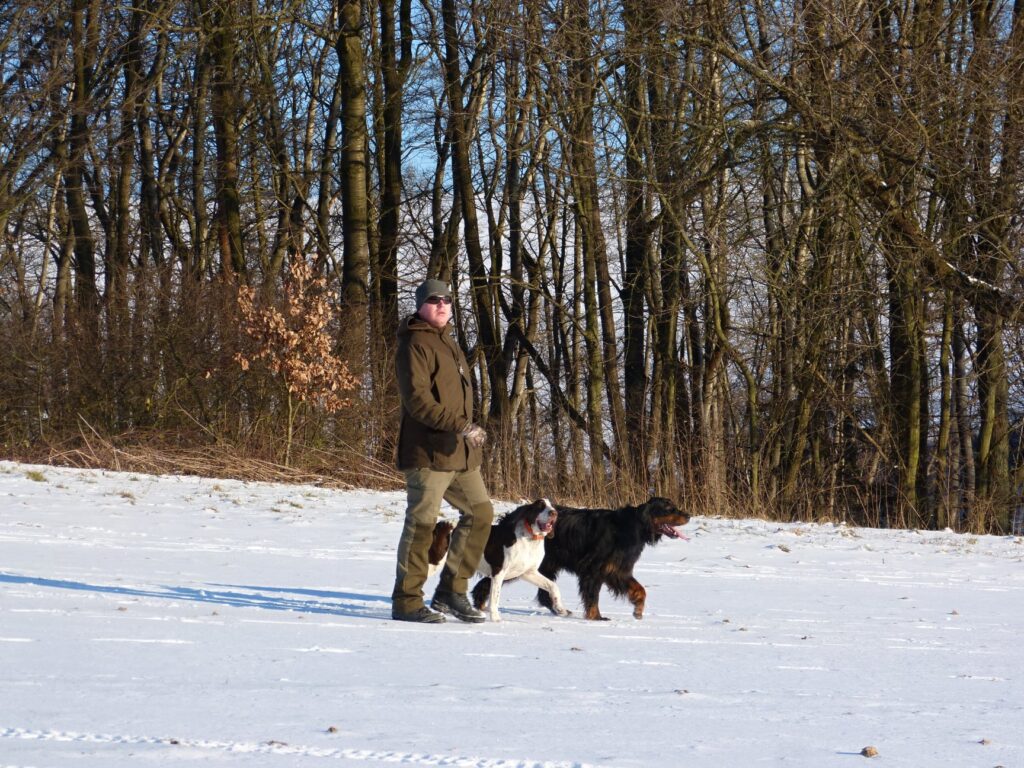 Pocvičení s panem lišákem