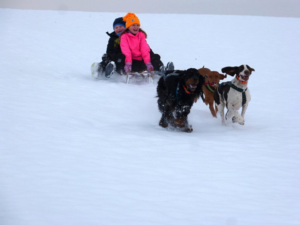 Univerzální použití ohaře