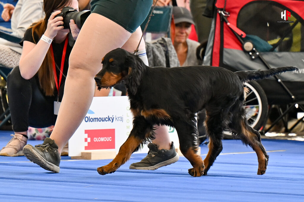 NVP Floracanis Olomouc