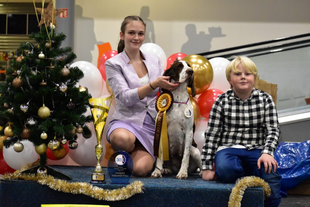 Jubilejní výstava 30tka Brno
