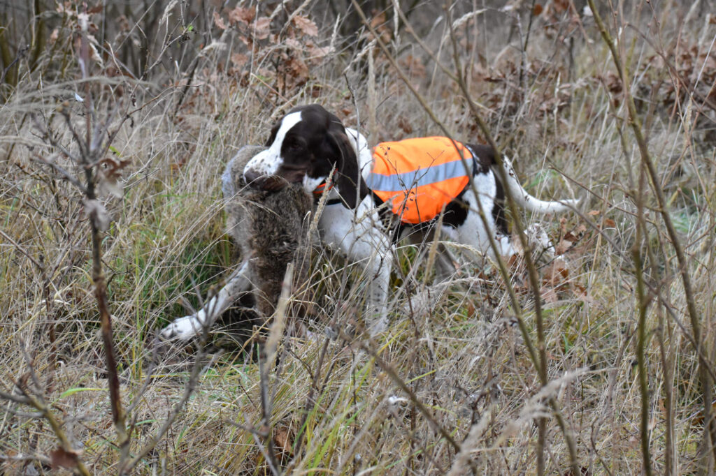 Hon na drobnou MS Rájec – Ráječko
