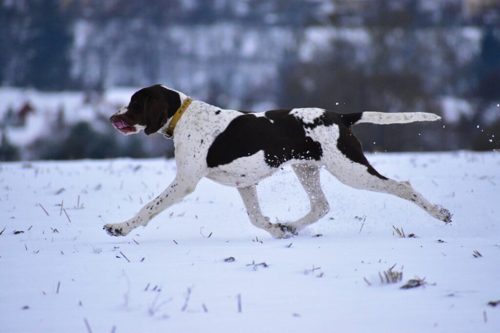 Fotky holek v pohybu