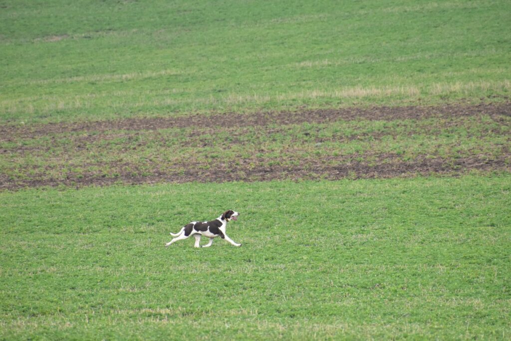 MFT CACT/CACIT Brod nad Dyjí