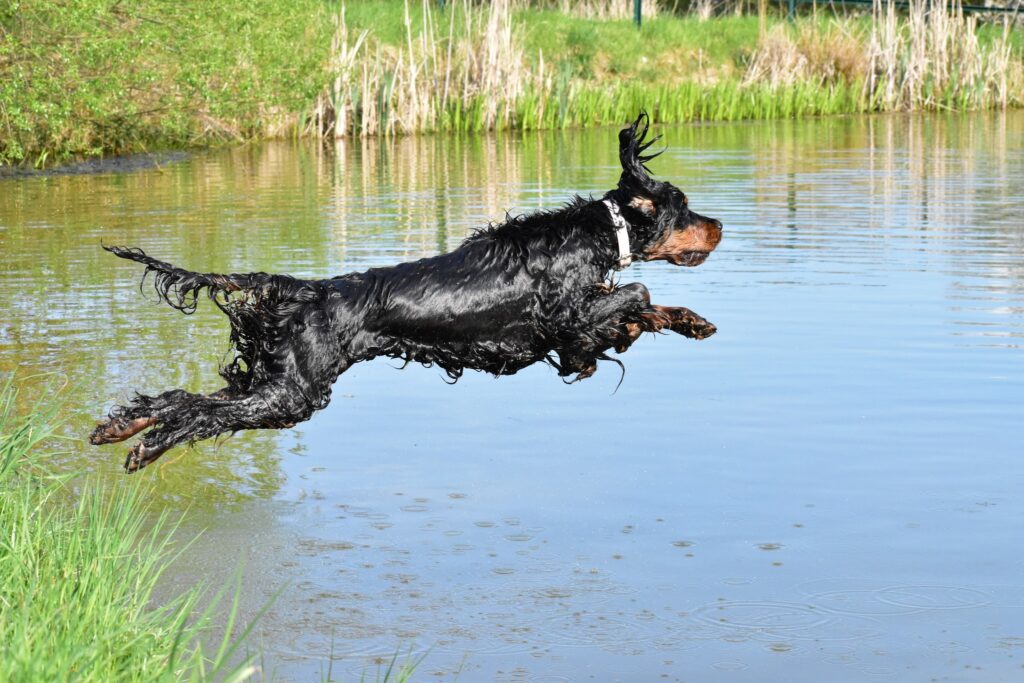 Ayra a její vášeň k vodě