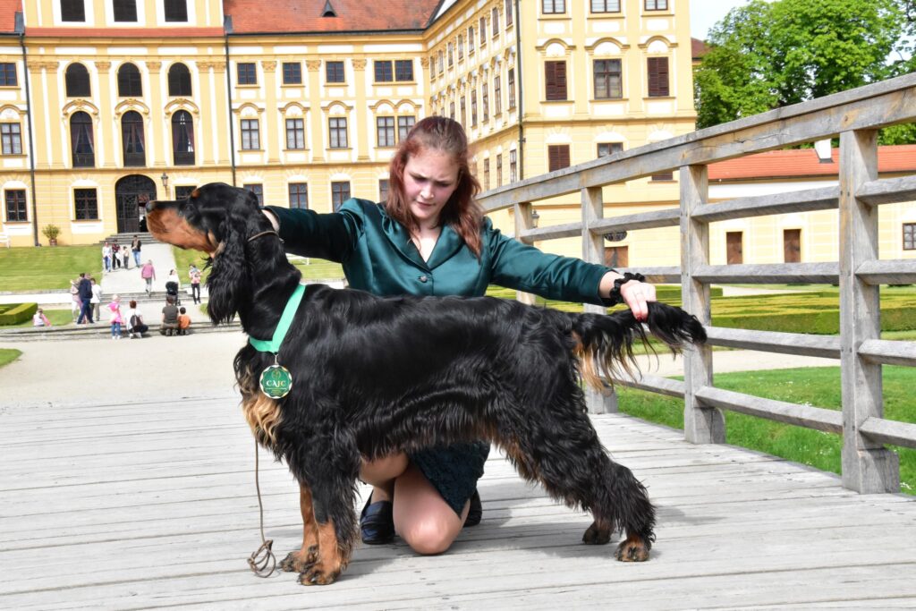 Klubová výstava MSKAO