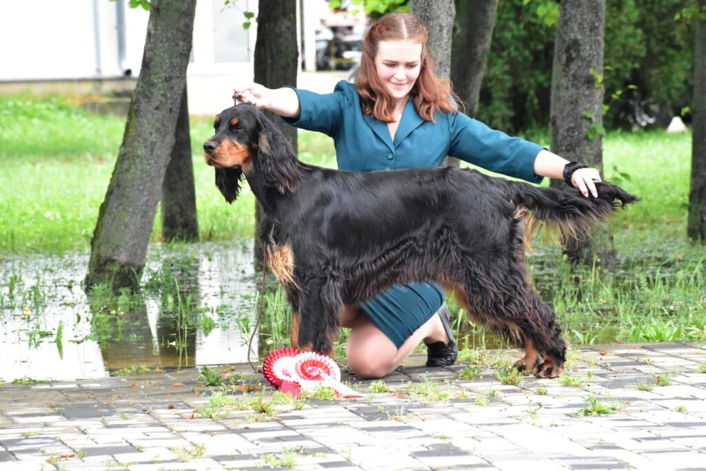 GRAND PRIX SLOVAKIA 2023 CACIB, Nitra