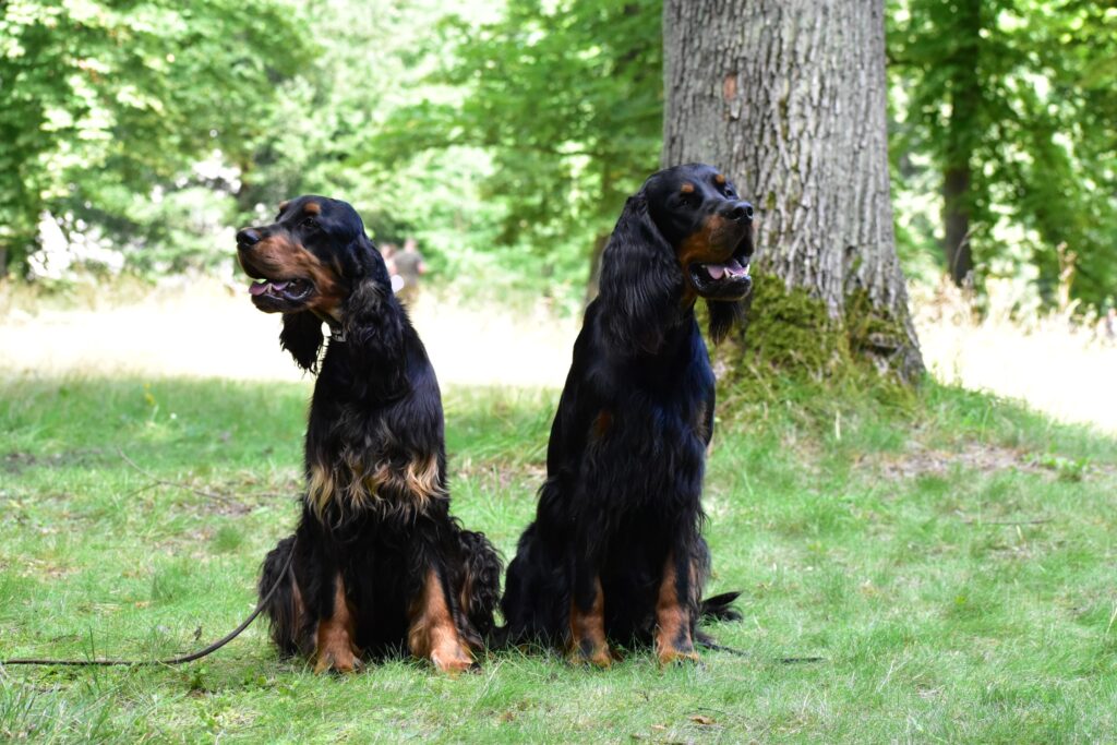 Sdružená výstava Zákupy (MSKAO)