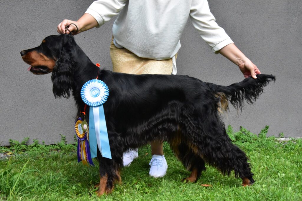 DUODANUBE Bratislava 19.8.2023