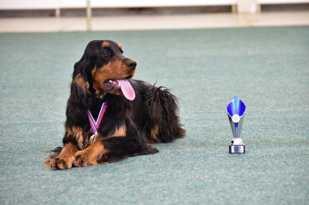 SPRING DANUBE CACIB Bratislava