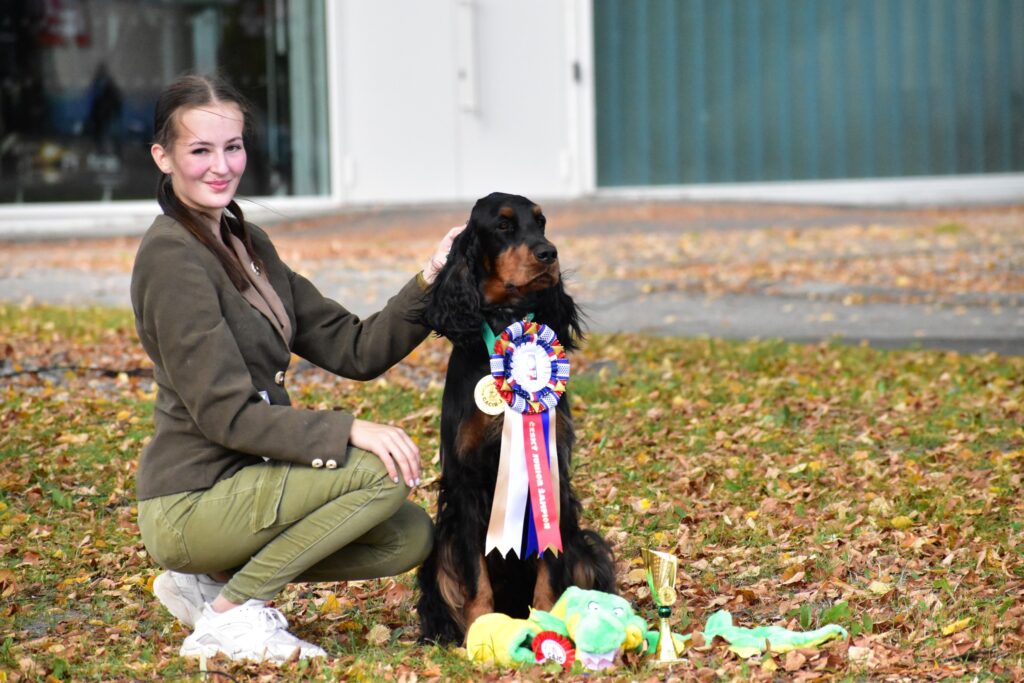 MVP České Budějovice