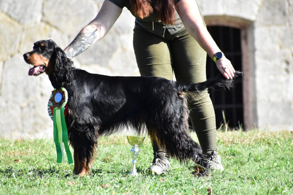 KOMÁROM-HUNGARY CACIB