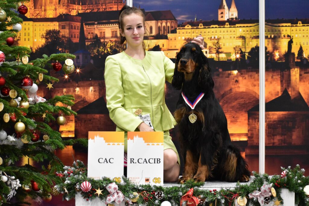 WINTER TRIOCACIB PRAQUE EXPO DOG 9.12.2023