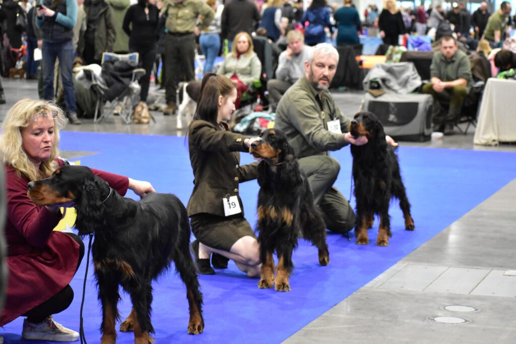 NVP Hanácká Brno 6.1.2024