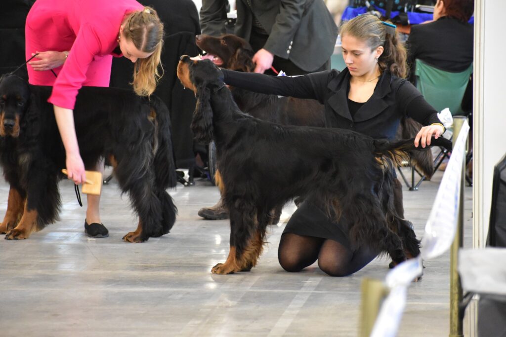 NVP a Victory show Bratislava