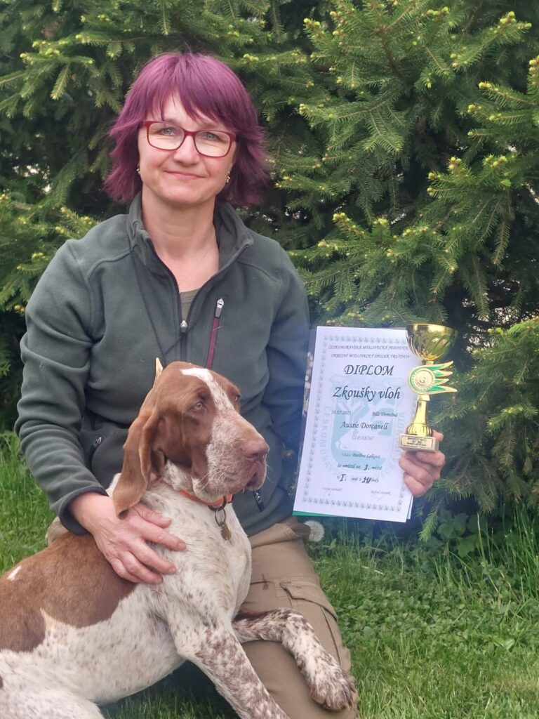 Aussie Dorcanell Zkoušky vloh