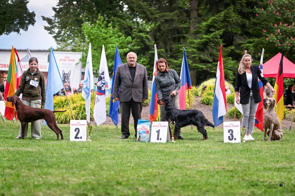 Brianne Dorcanell – Novohraddog  Lucenec, 17.5.2025