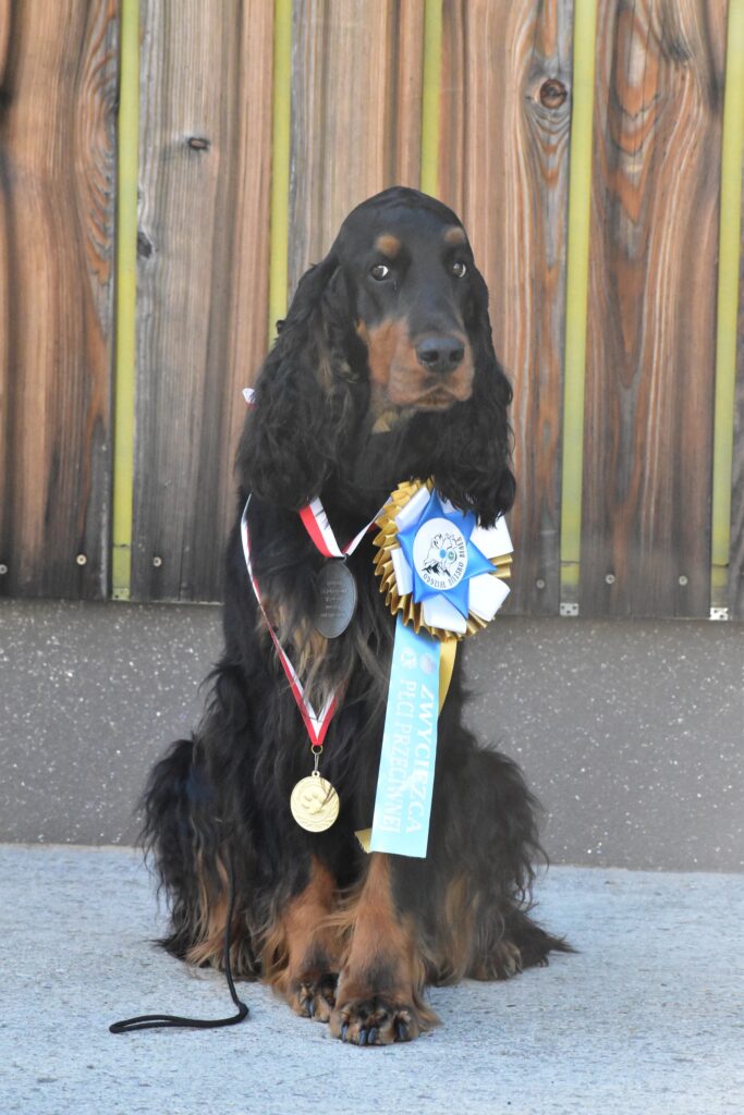 CACIB Wisła 5.7.2025